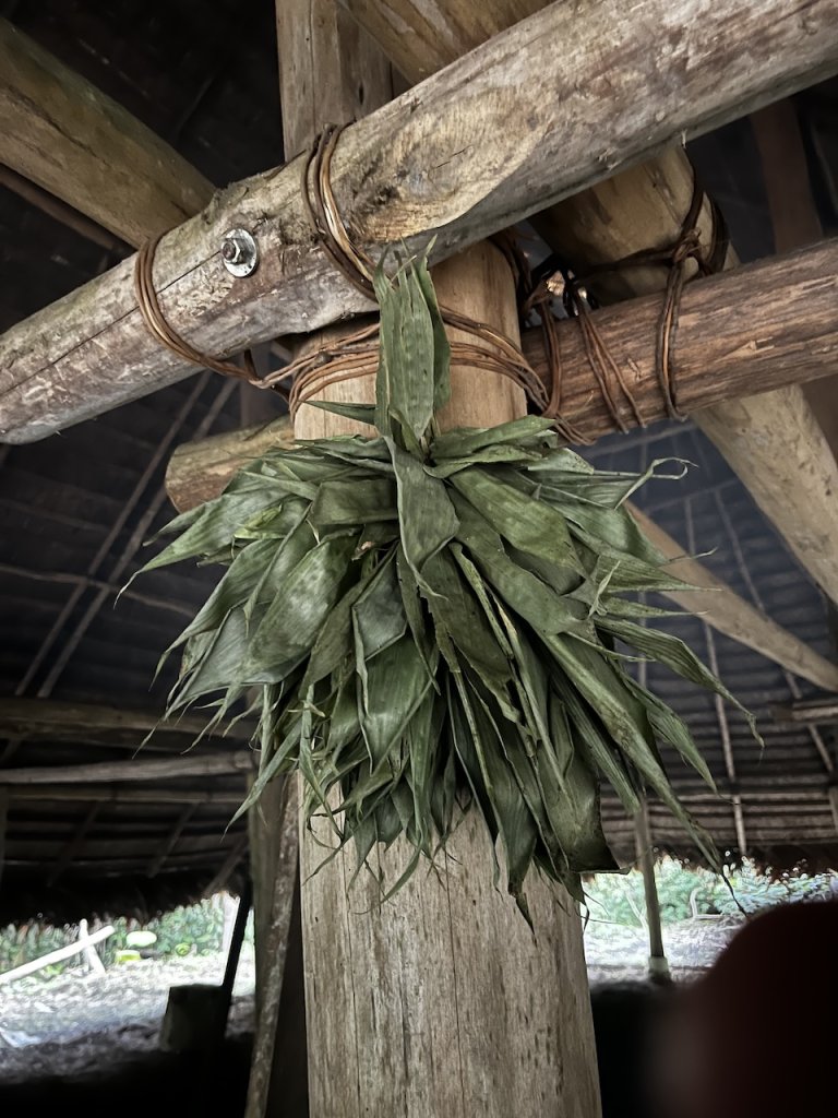 Jungle2-768x1024-1.jpg